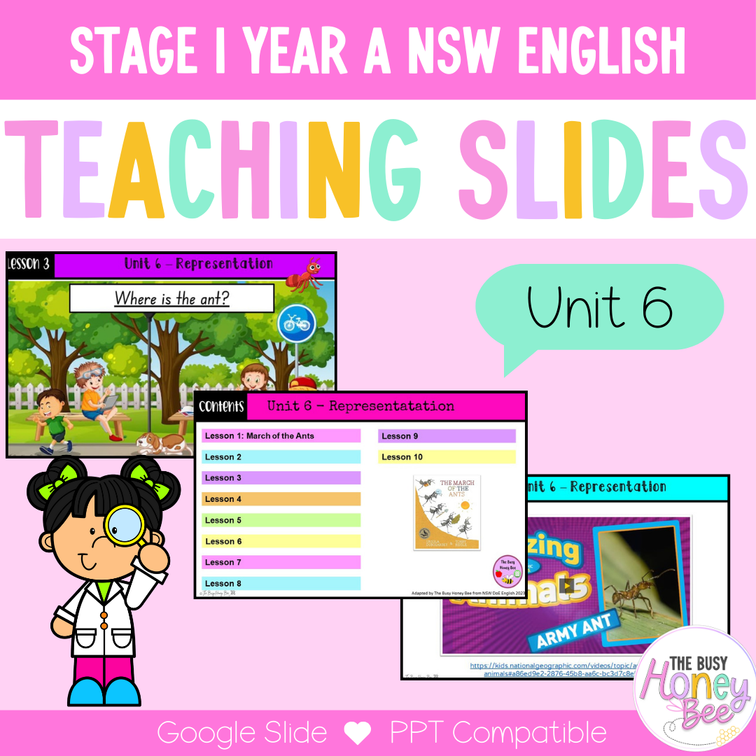 Stage 1 Year A Unit 6 NSW Representation English Teaching Slides