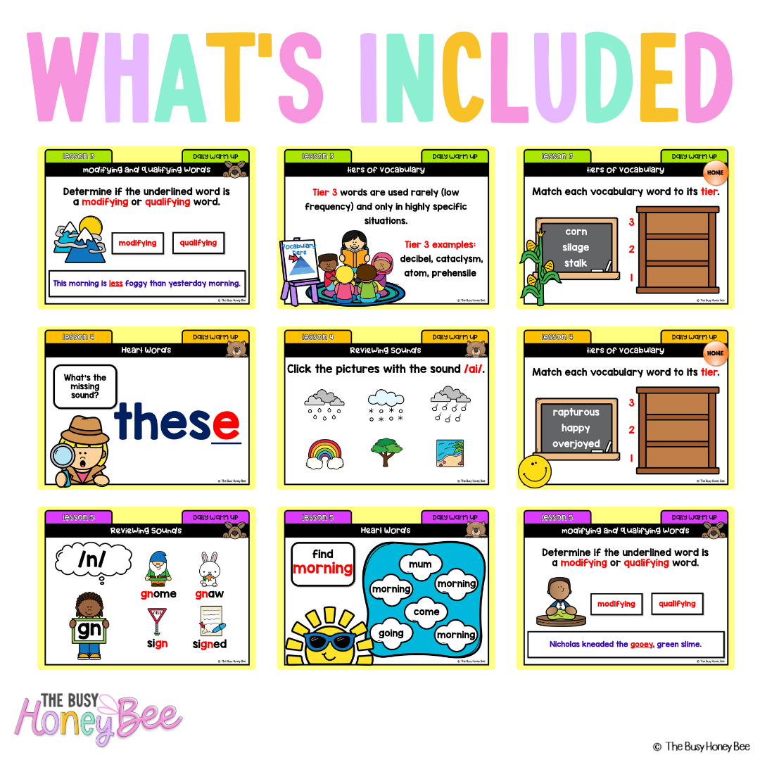 Multi Age K-2 Year A Ultimate English Australian | NSW English Daily Review | Warm-Up Mega Bundle