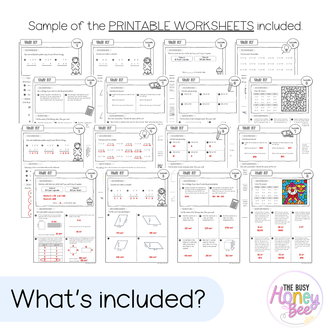 Stage 3 Year B NSW Maths Worksheets Unit 37