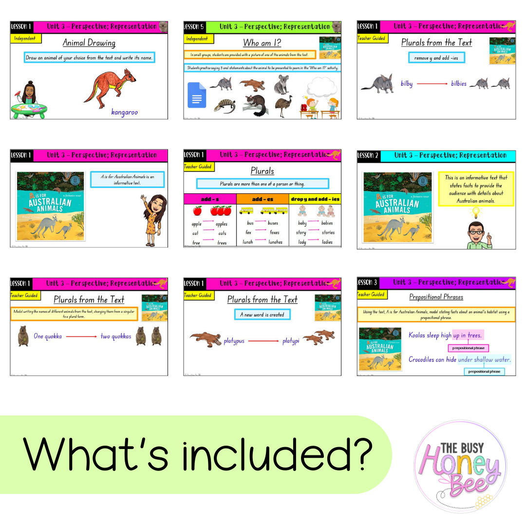 Multi Age K-2 Year B Unit 3 NSW Perspective and Representation English Teaching Slides