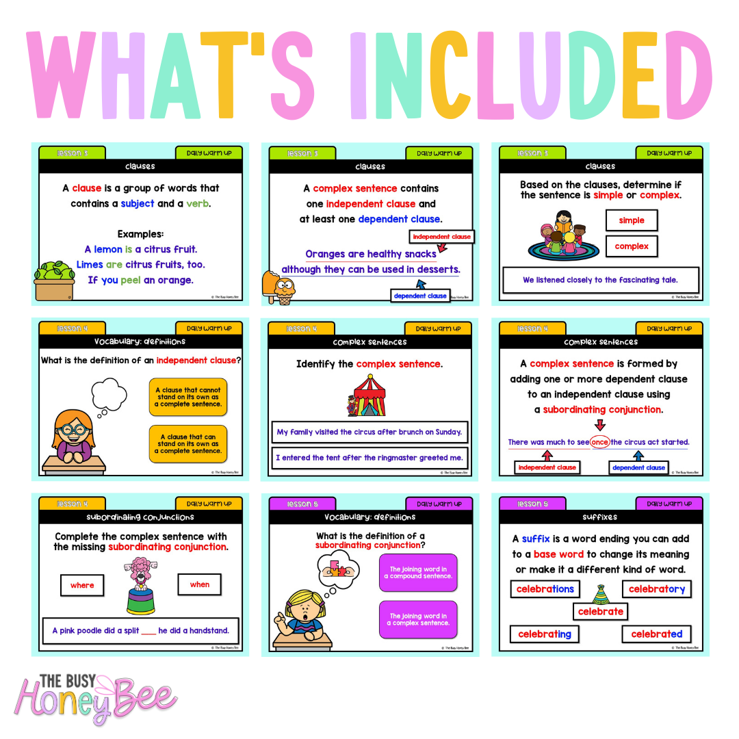 Stage 1 Year B Australian | NSW English Daily Review | Daily Warm Unit 37