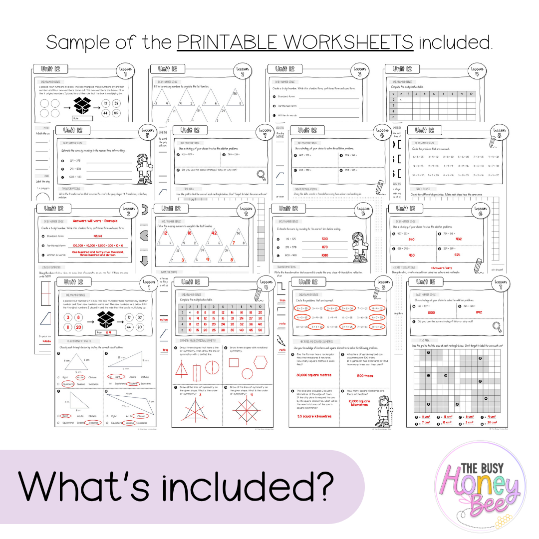 Multi Age 3-6 Year A NSW Maths Worksheets Unit 12