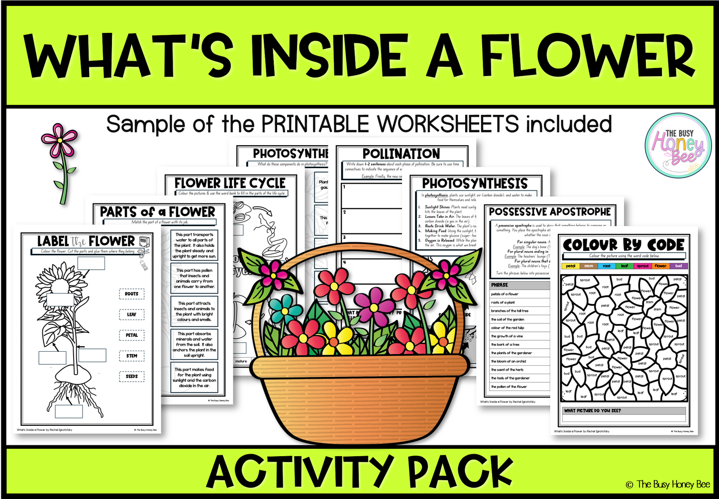 What's inside a Flower Activity Pack