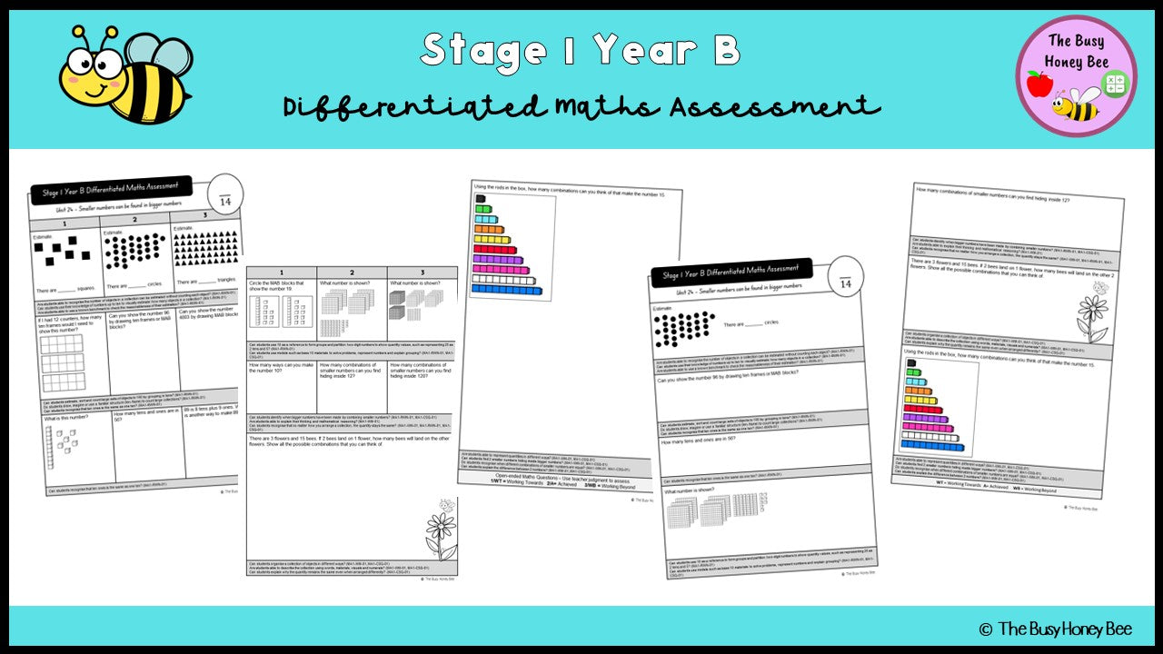 Stage 1 Year B Differentiated Maths Assessment Unit 24