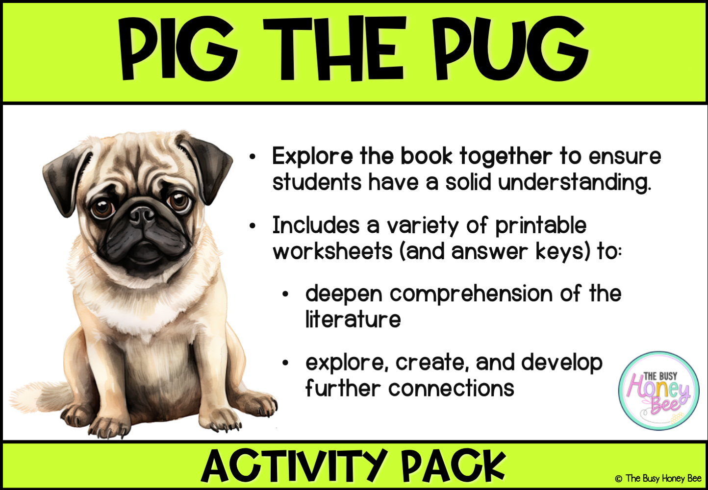 Multi Age K-2 Year B Pig the Pug by Aaron Blabey Activity Pack