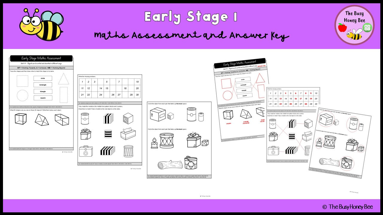 Early Stage 1 Maths Assessment Task 19