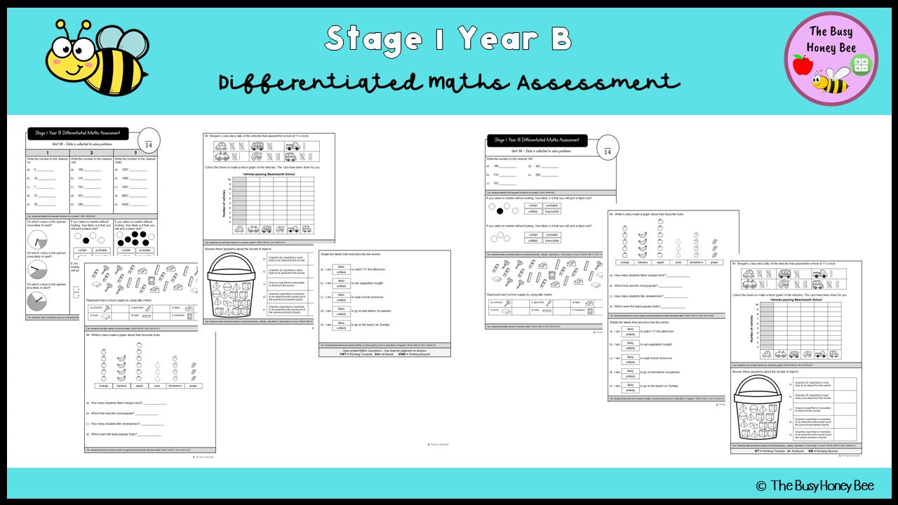 Stage 1 Year B Differentiated Maths Assessment Unit 38