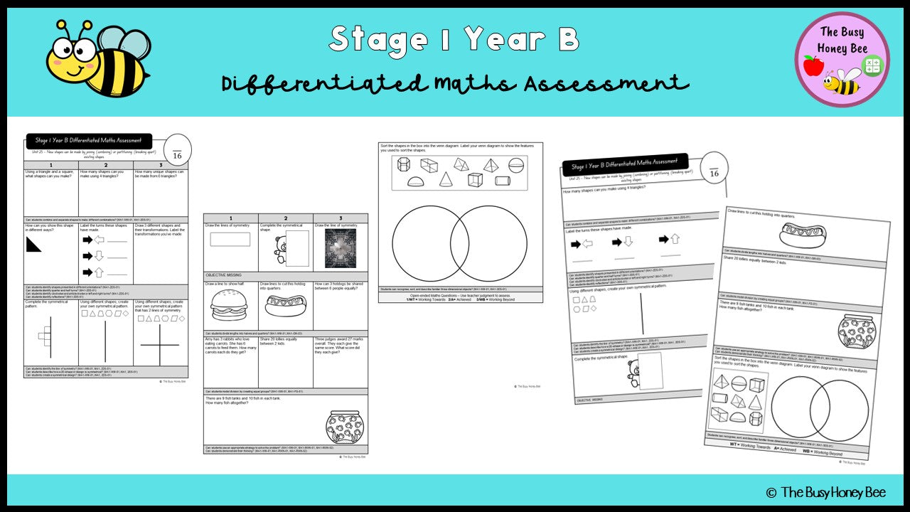 Stage 1 Year B Differentiated Maths Assessment Unit 25