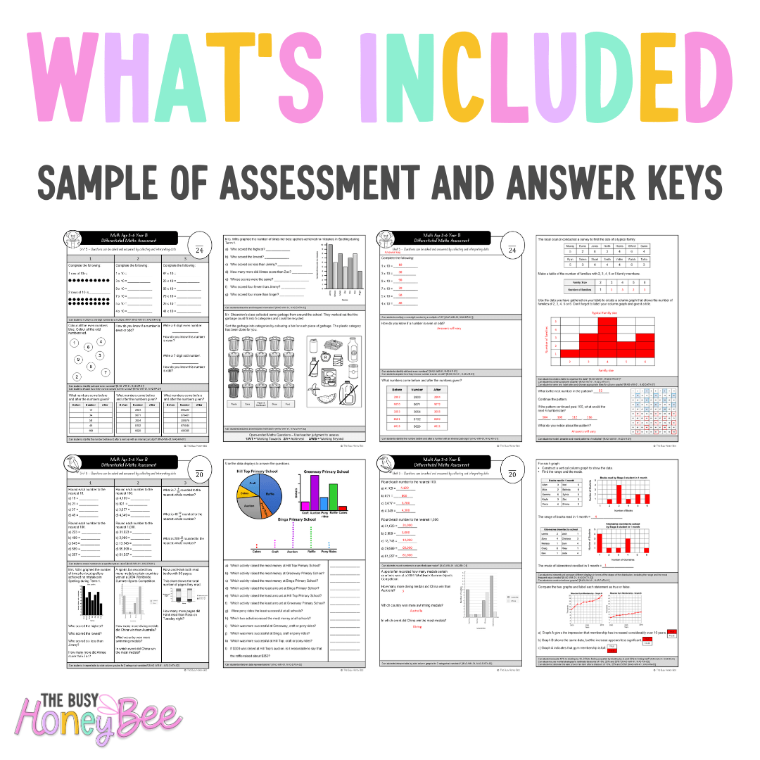 Multi Age 3-6 Year B Differentiated NSW Maths Assessment Unit 5 - Microsoft Word Document