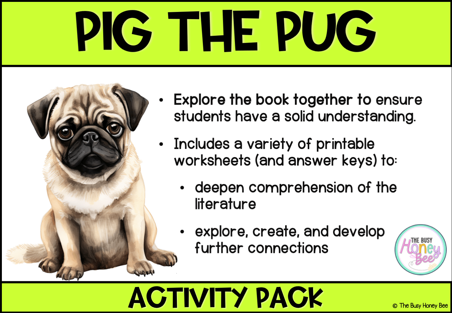 Multi Age K-2 Year B Pig the Pug by Aaron Blabey Activity Pack -