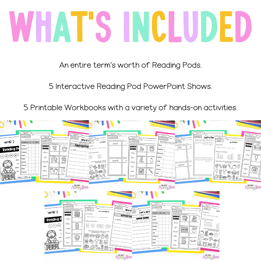 Stage 1 Year B - Year 2 Reading Pod Term 1 Mega Bundle - Teaching Bundle