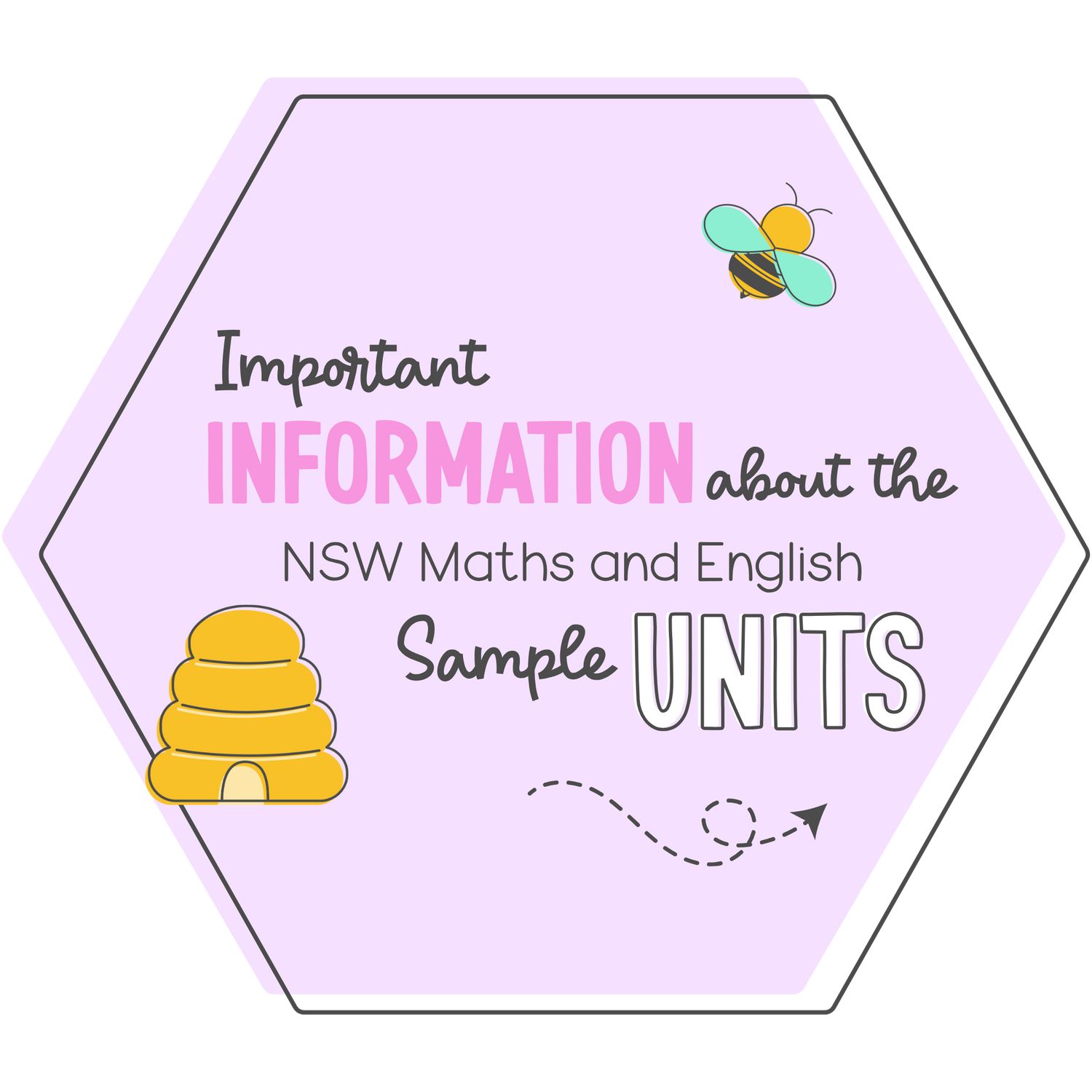Important information about the NSW Maths and English Sample Units