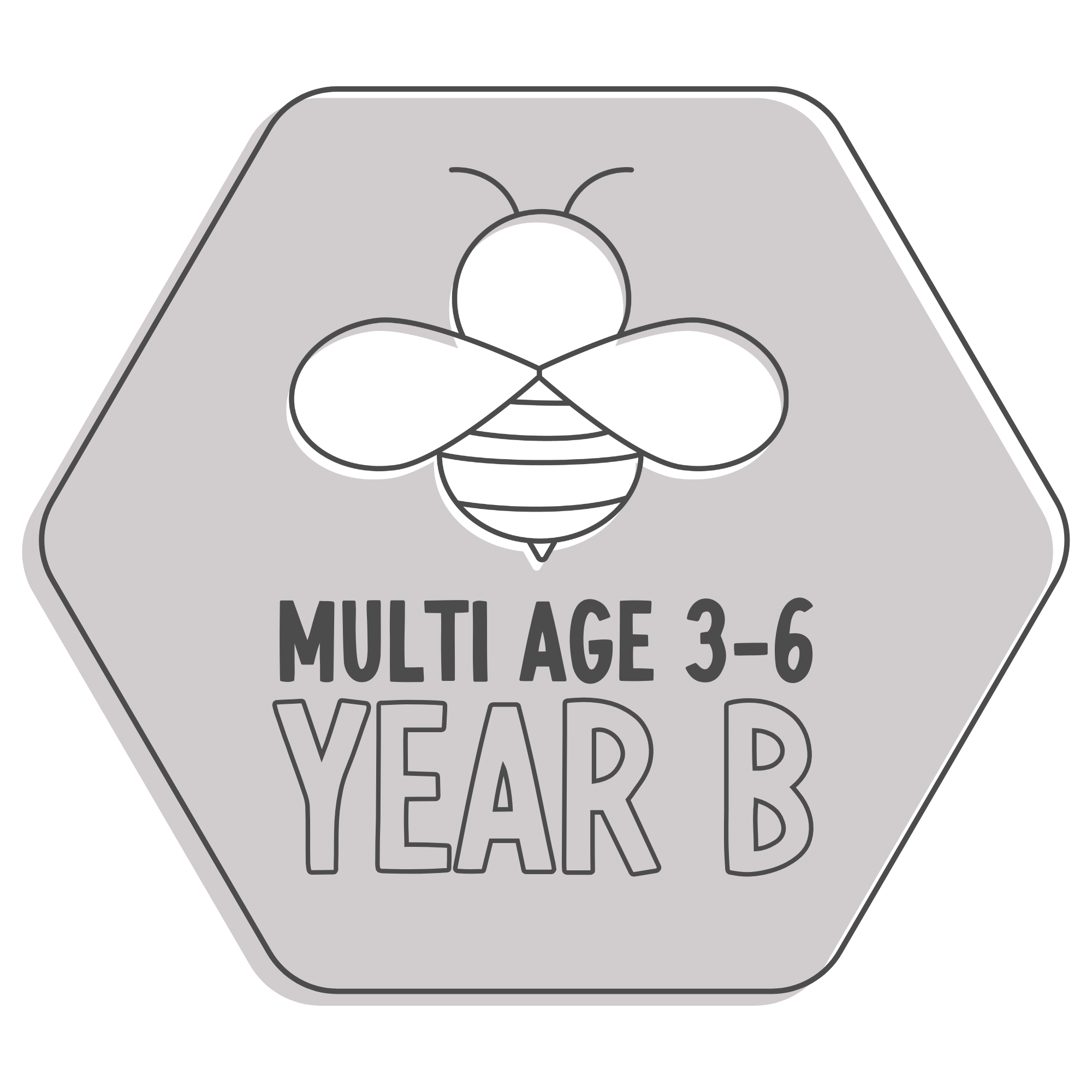 Multi Age 3-6 Year B
