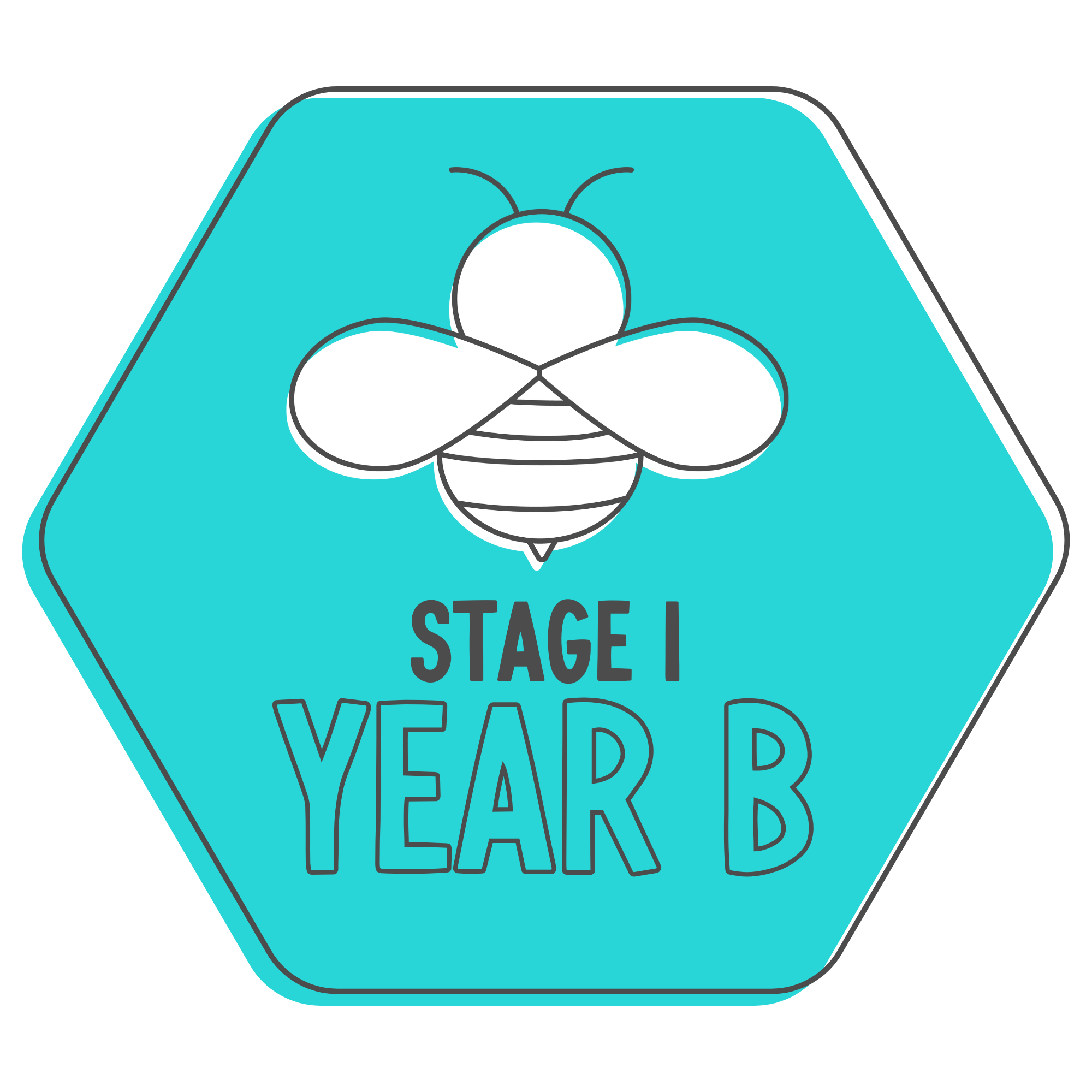 Stage 1 Year B