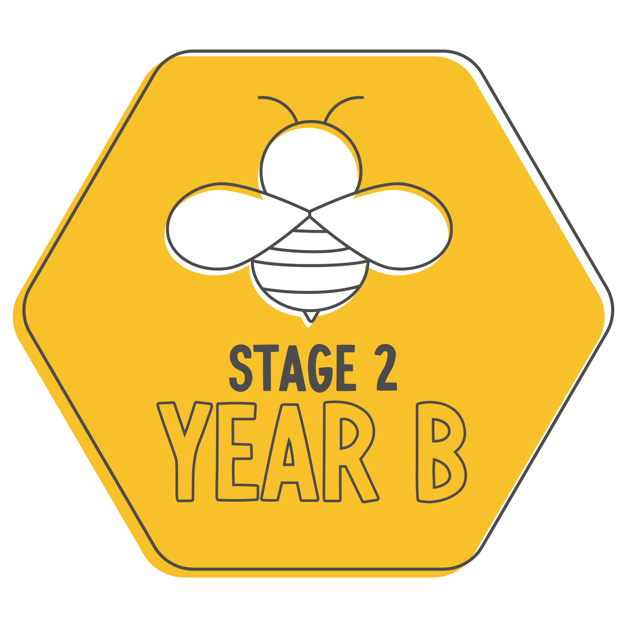 Stage 2 Year B