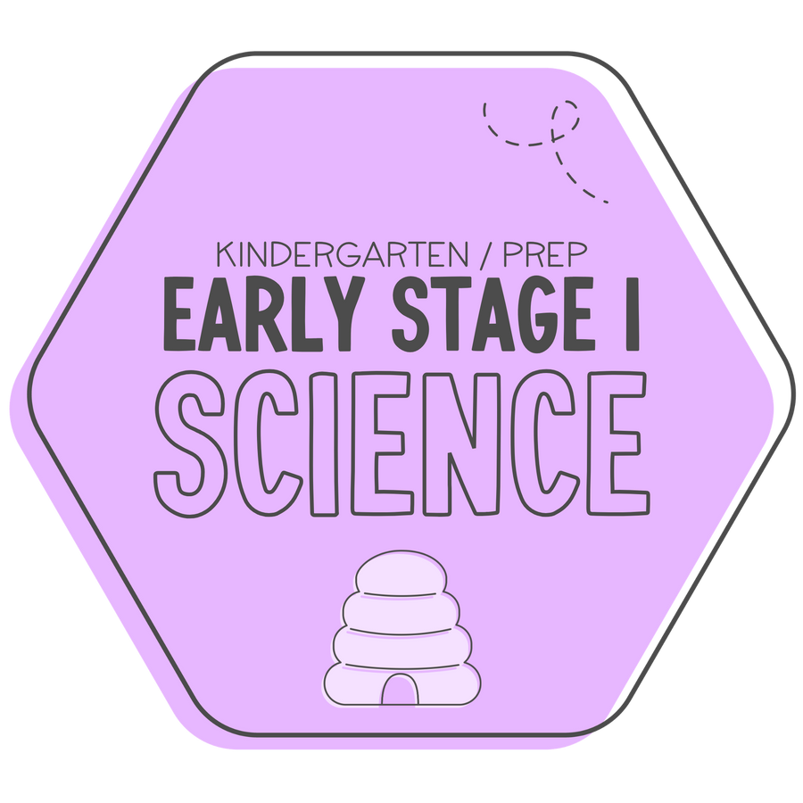 Early Stage 1 – The Busy Honey Bee
