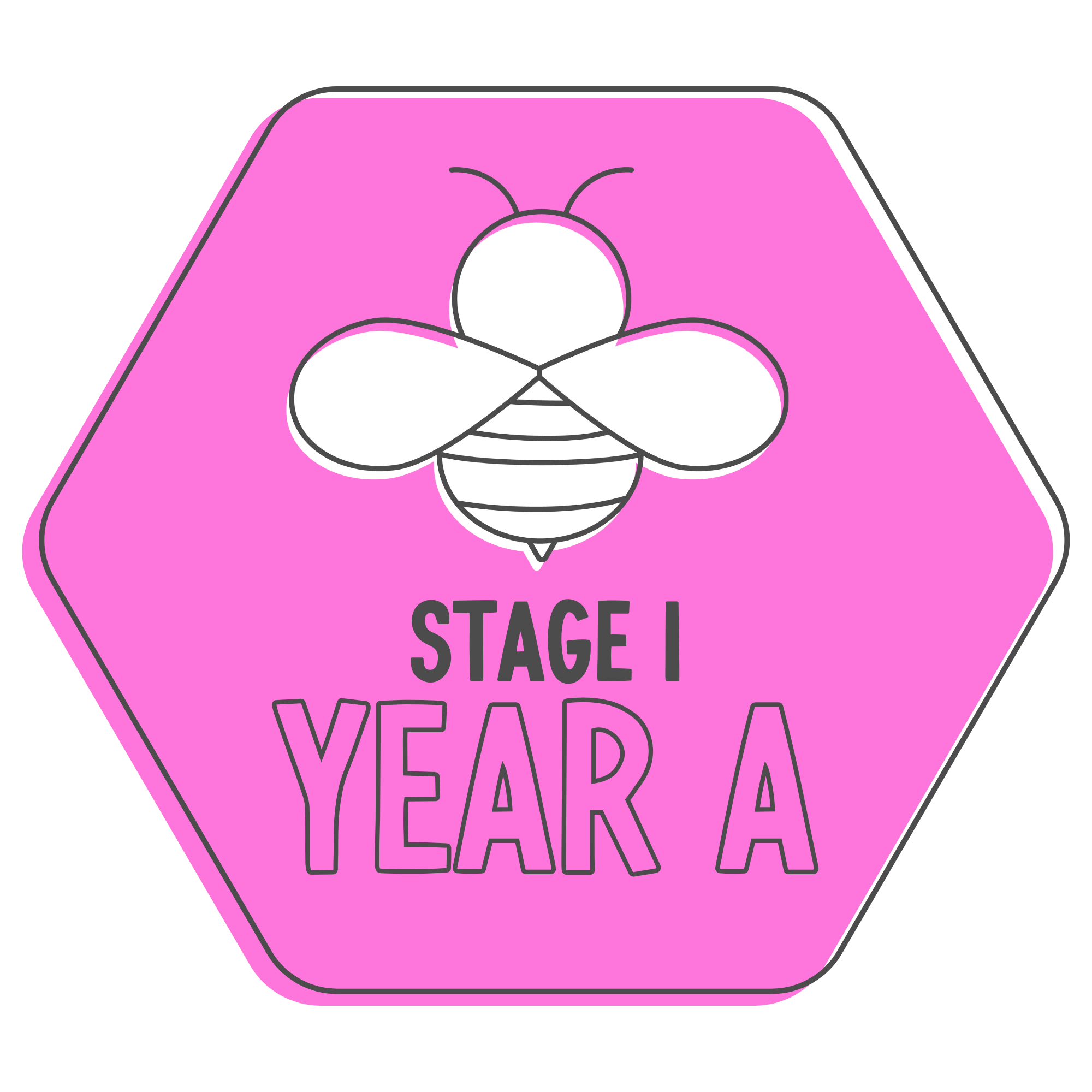 Stage 1 Year A