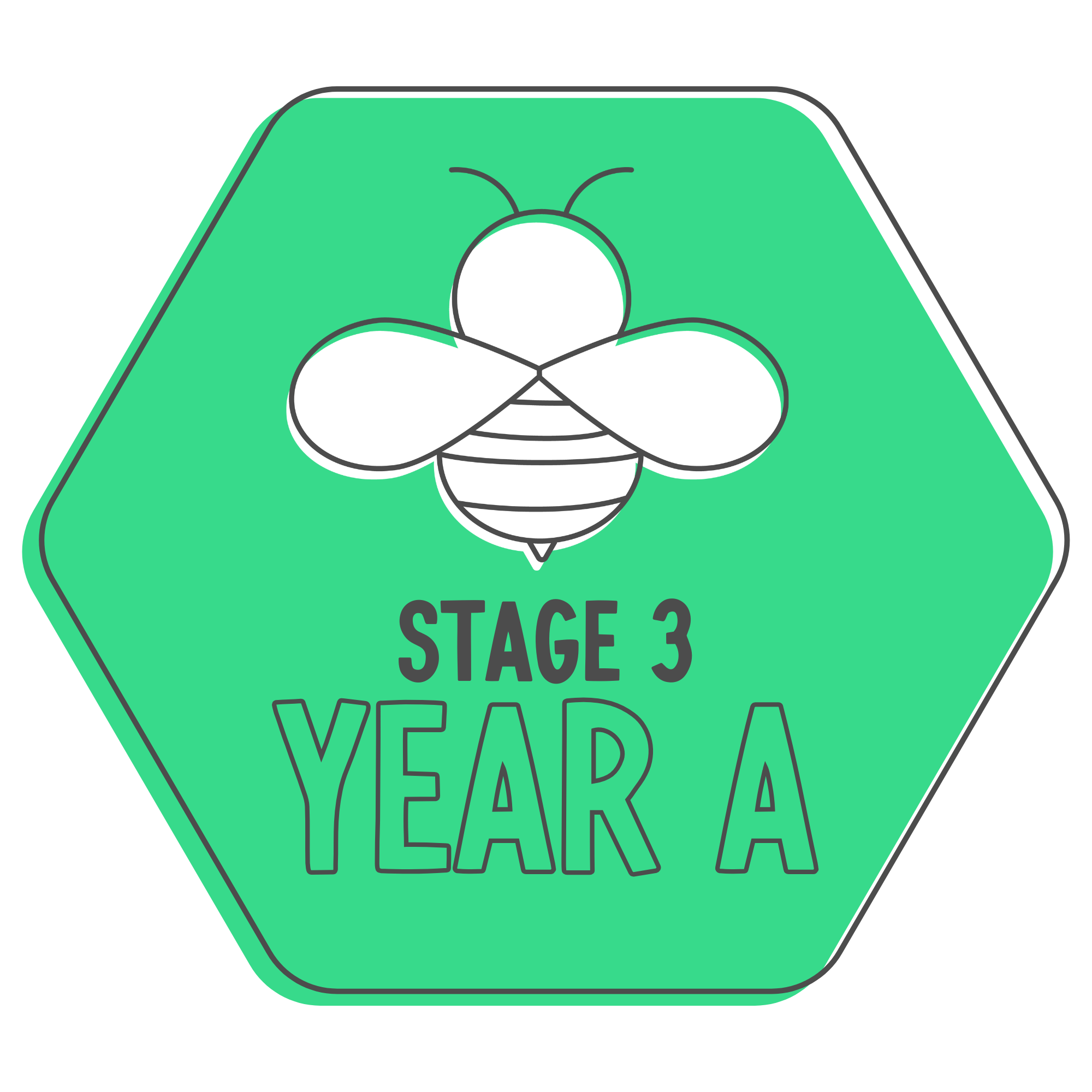 Stage 3 Year A
