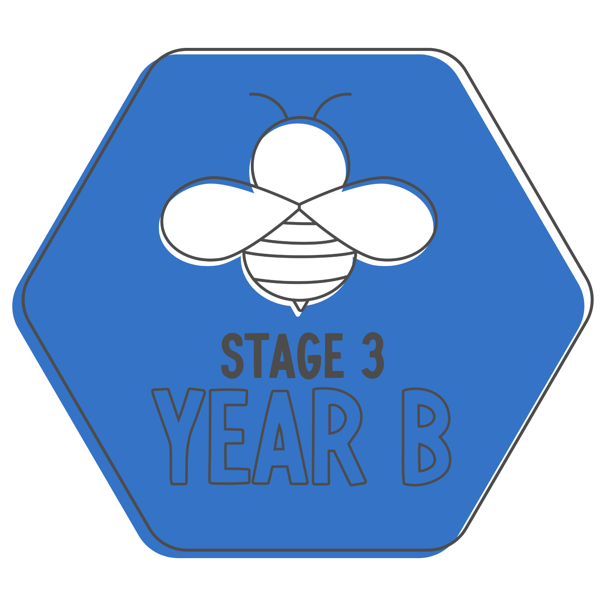 Stage 3 Year B