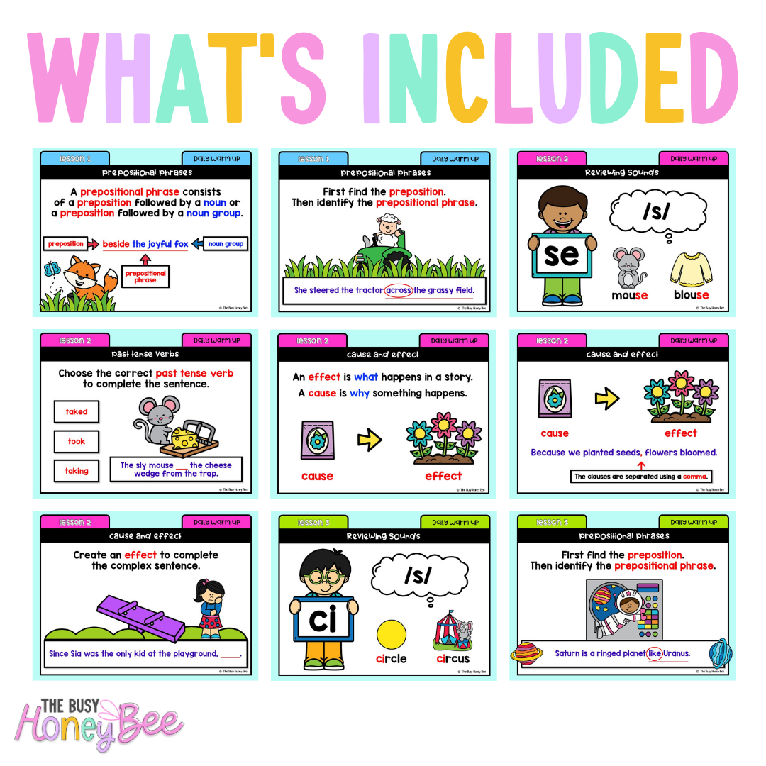Stage 1 Year B Australian | NSW English Daily Review | Daily Warm Unit 37