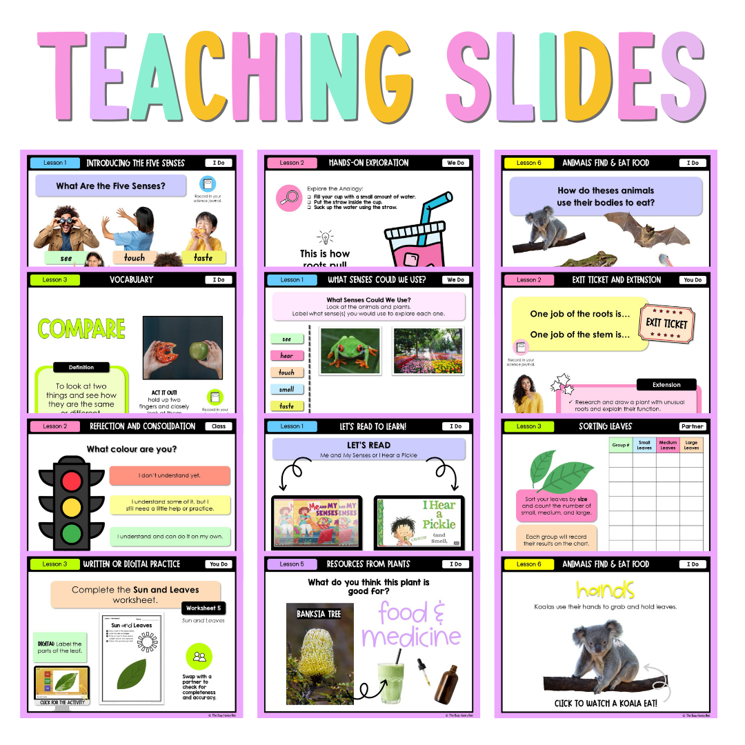 Early Stage 1 NSW Science Unit 1 Living Things Can Survive Teaching Bundle