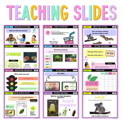 Early Stage 1 NSW Science Unit 1 Living Things Can Survive Teaching Bundle