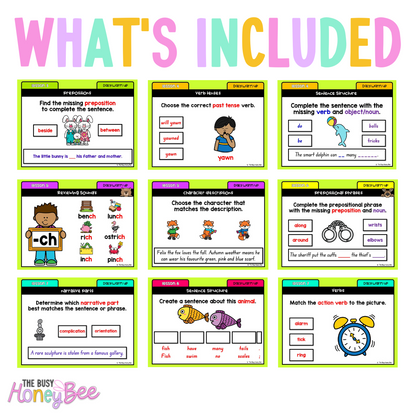 Multi Age K-2 Yr B Australian | NSW English Daily Review Term 2 Mega Bundle