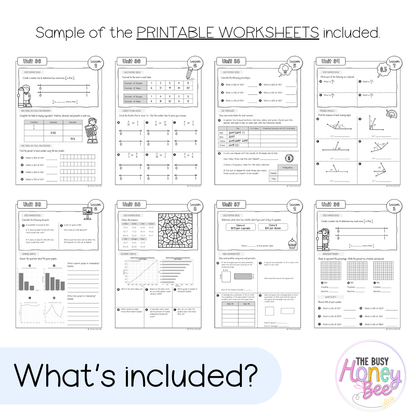 Stage 3 Year B NSW Maths Workbook ULTIMATE Mega Bundle