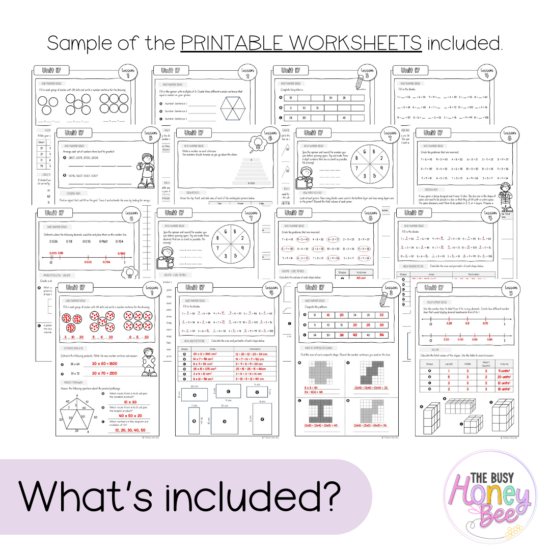 Multi Age 3-6 Year A NSW Maths Worksheets Unit 17