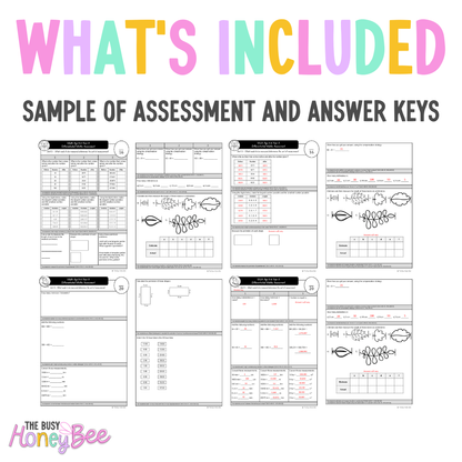 Multi Age 3-6 Year A Differentiated NSW Maths Assessment Unit 3