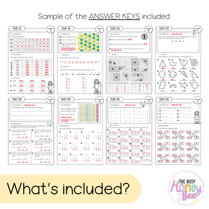 Stage 2 Year B NSW Maths Workbook Term 3