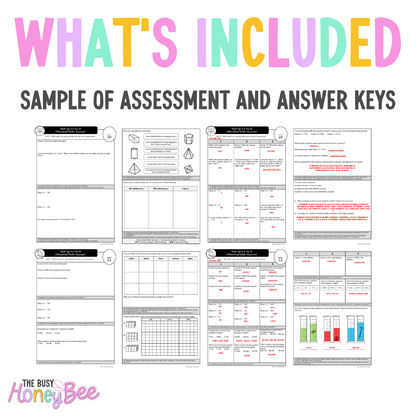 Multi Age 3-6 Year B Differentiated NSW Maths Assessment Unit 9
