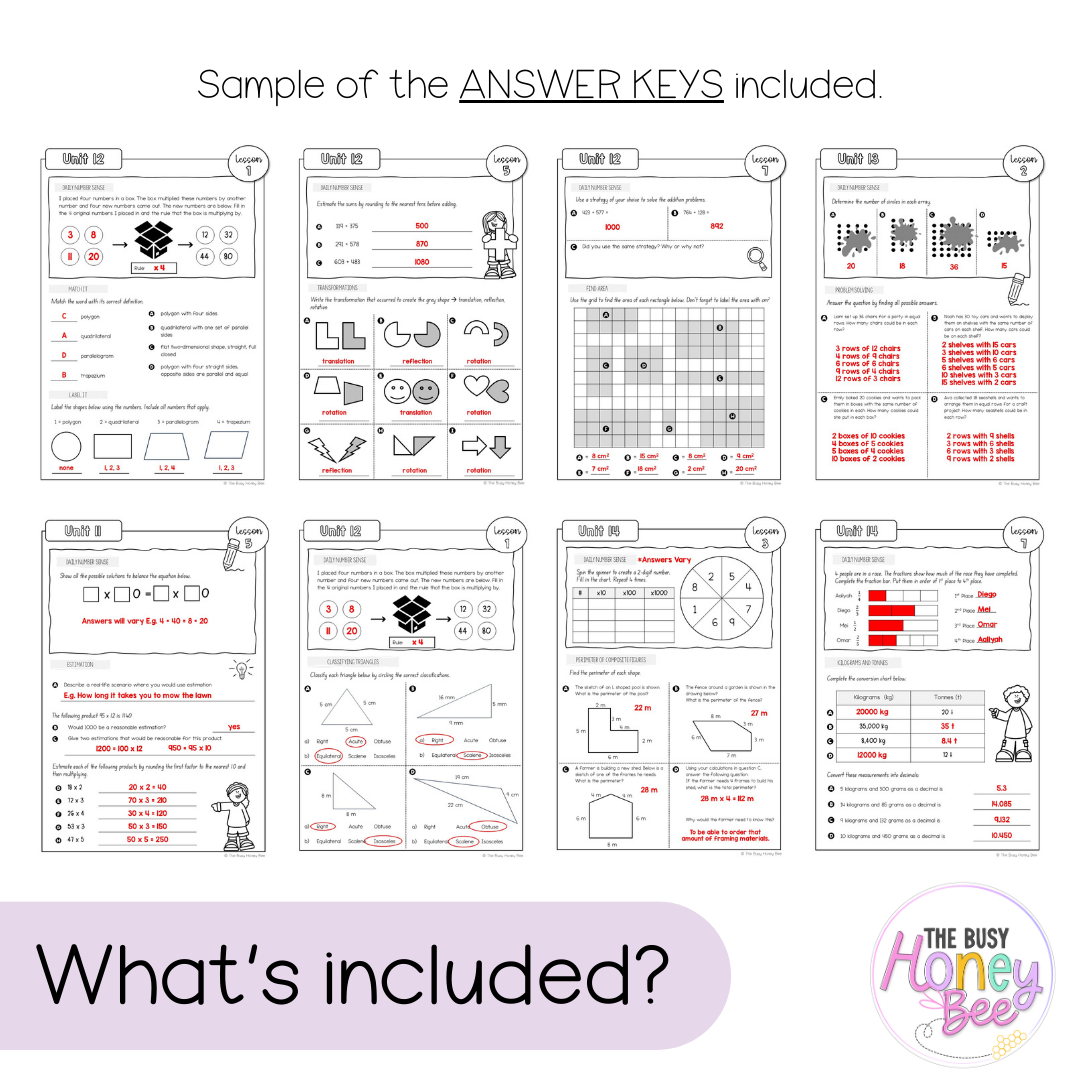 Multi Age 3-6 Year A NSW Maths Workbook Term 3