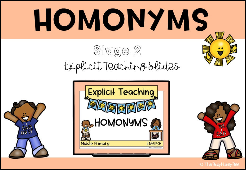 Year 3 and 4 Homonyms Explicit Teaching Bundle