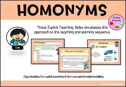 Year 3 and 4 Homonyms Explicit Teaching Bundle