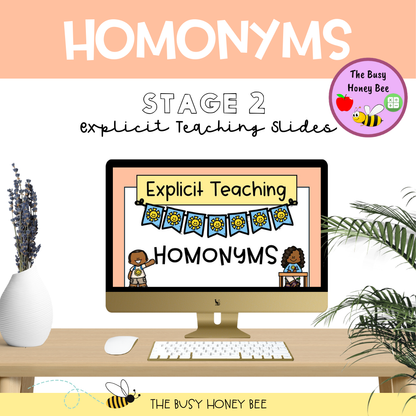 Year 3 and 4 Homonyms Explicit Teaching Bundle