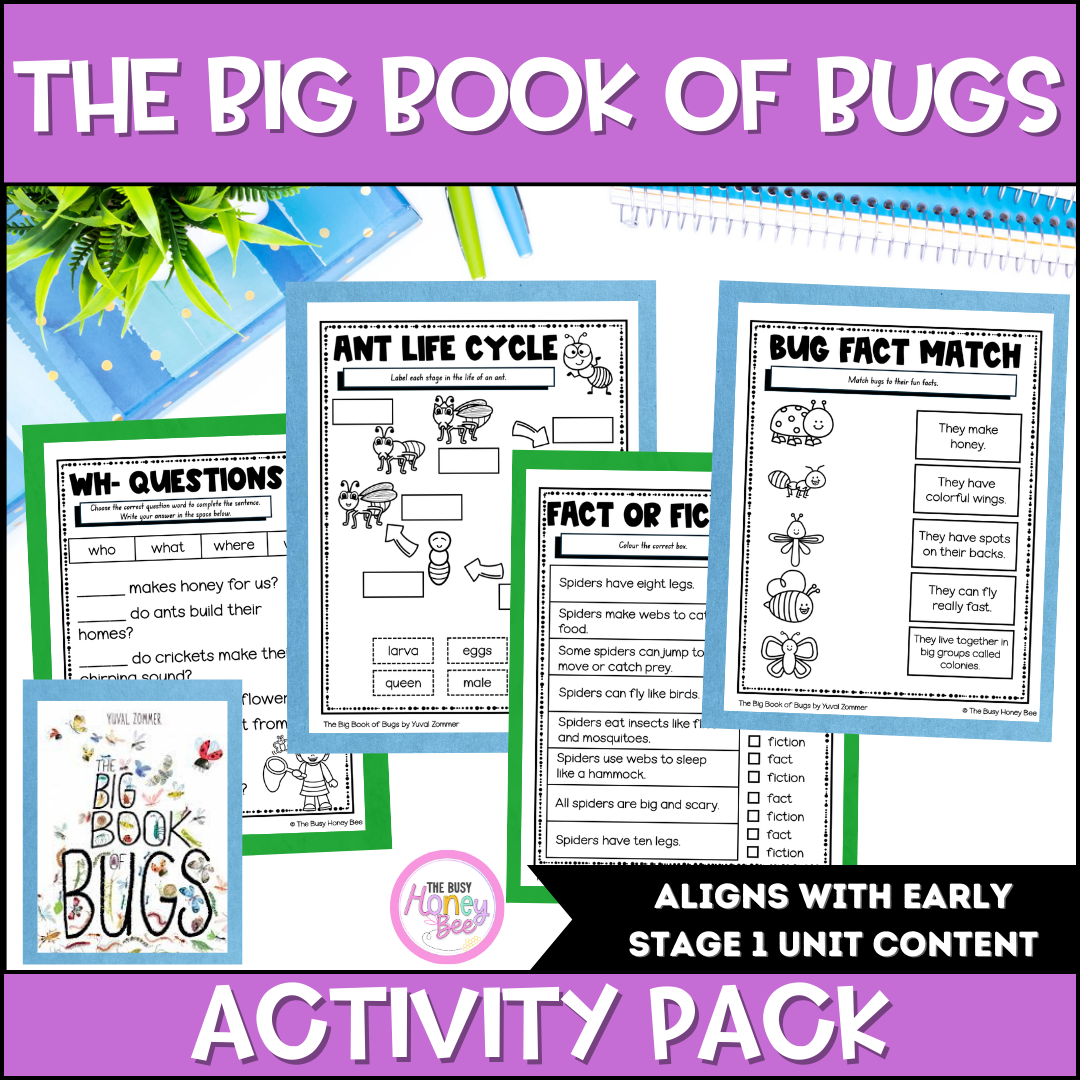 The Big Book of Bugs Activity Pack