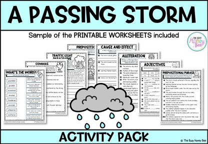 A Passing Storm Activity Pack - Activity Pack