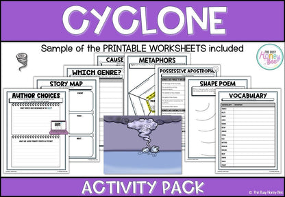 Cyclone by Jackie French Activity Pack -