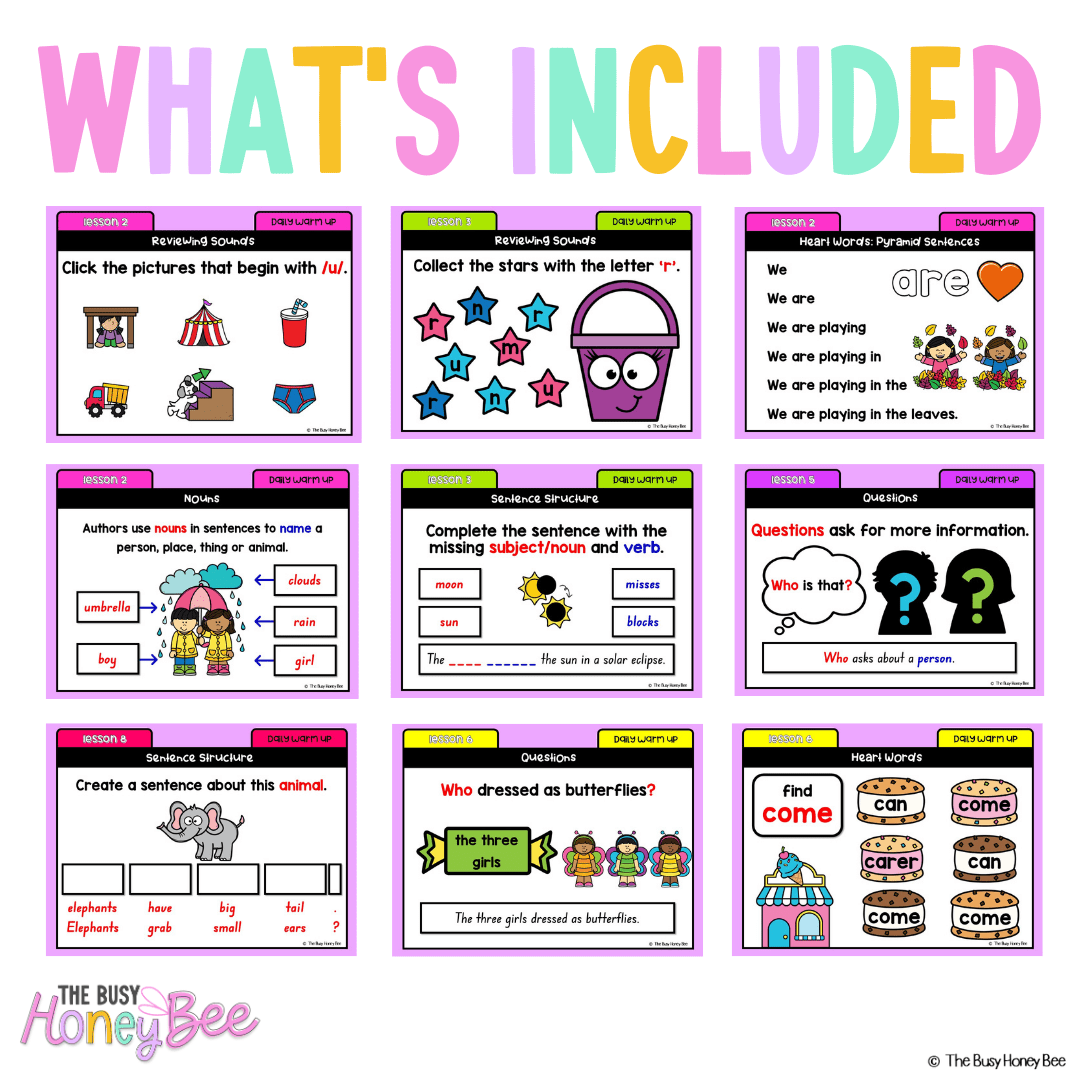 Early Stage 1 Australian | NSW English Daily Review | Warm-Up Unit 6 - Warm Ups | Revision