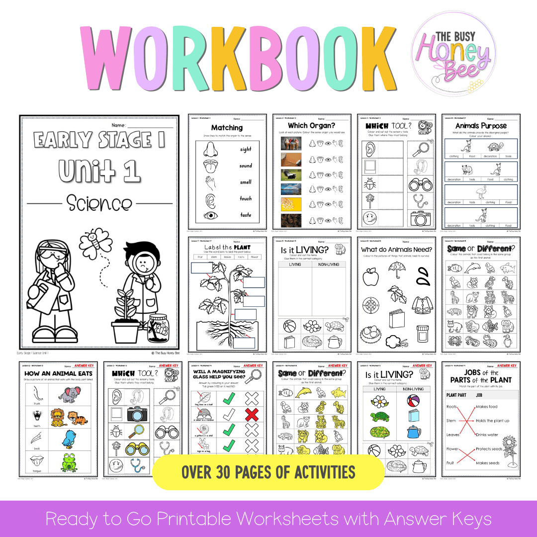 Early Stage 1 NSW Science Sample Unit 1 Teaching Pack - Teaching Bundle