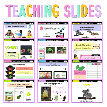 Early Stage 1 NSW Science Unit 1 Living Things Can Survive Teaching Bundle - Teaching Bundle