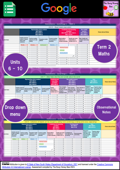 Early Stage 1 NSW Term 2 Maths Assessment Overview Google Sheet - Assessment
