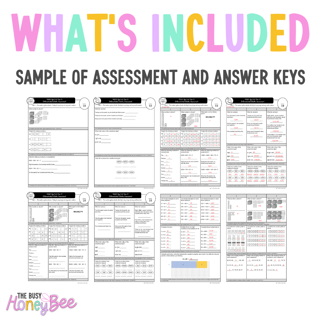 Multi Age 3-6 Year A Differentiated NSW Maths Assessment Unit 1 - Microsoft Word Document