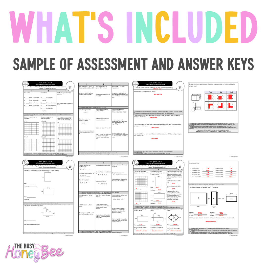 Multi Age 3-6 Year A Differentiated NSW Maths Assessment Unit 17 - Assessment