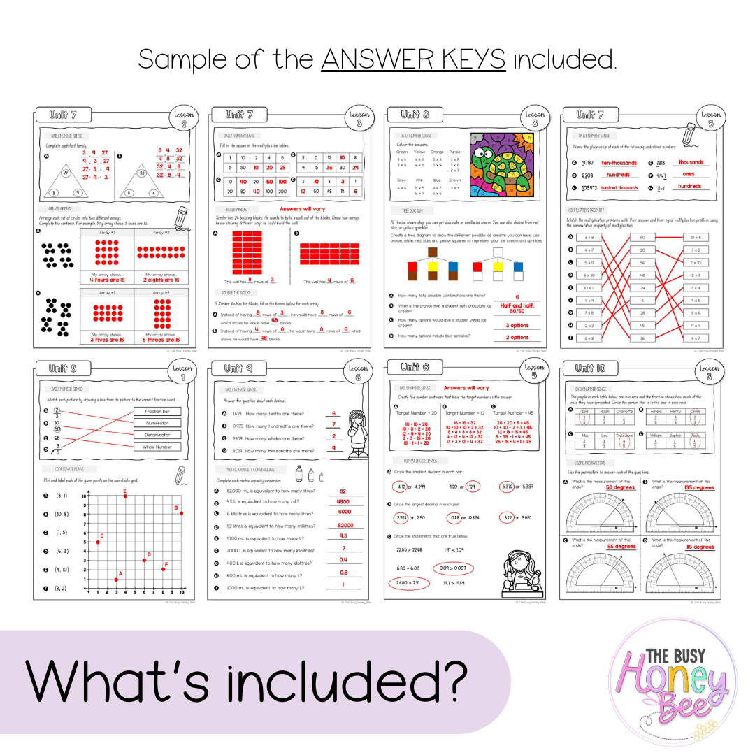 Multi Age 3-6 Year A NSW Maths Workbook Term 2 - Workbook | Worksheets