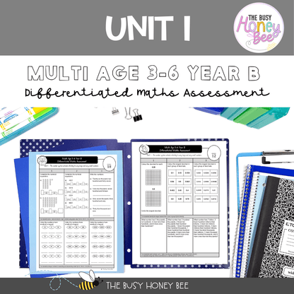 Multi Age 3-6 Year B Differentiated NSW Maths Assessment Term 1 Mega Bundle - Microsoft Word Document