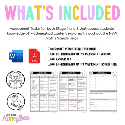Multi Age 3-6 Year B Differentiated NSW Maths Assessment Unit 1 - Microsoft Word Document