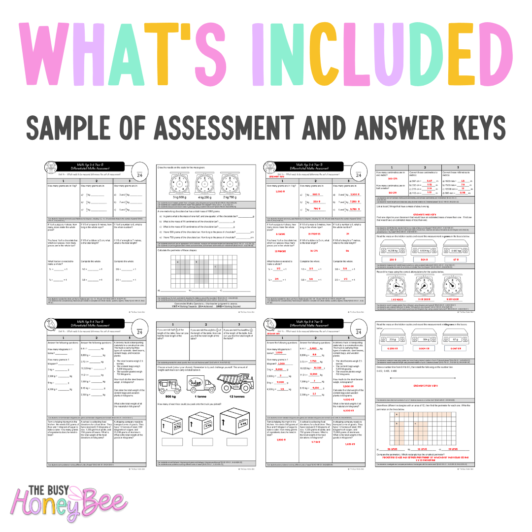 Multi Age 3-6 Year B Differentiated NSW Maths Assessment Unit 14 - Assessment