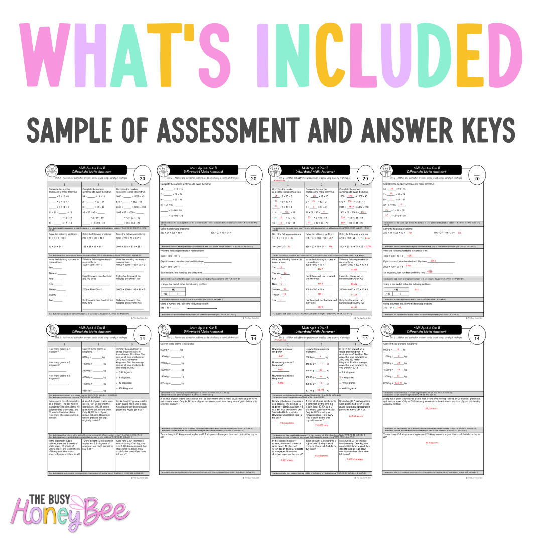 Multi Age 3-6 Year B Differentiated NSW Maths Assessment Unit 2 - Microsoft Word Document